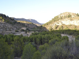 Rambla Perea-Mula 2018